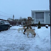  -,   , 41 ,   ,   , c , 