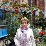 ,   , 60 ,  
