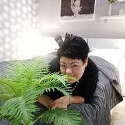 ���������� ������ ��������, ���� ������� ��������, 50 ���, ������������ ��� ������, ����� � ���������, c�������� ���������