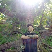  ,   , 33 ,   