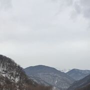  --,   , 41 ,   ,   , c 
