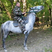 ���������� ������, ���� ������� �����, 44 ����, ������������ ��� ������