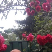  ,   , 37 ,   ,   , c , 