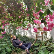 ���������� ������, ���� ������� ��������, 47 ���, ������������ ��� ����� � ���������, c�������� ���������