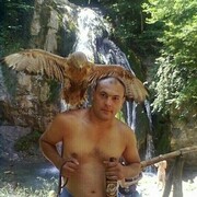  ,   , 41 ,     