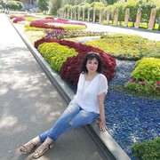  ,   , 52 ,   