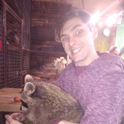 ���������� ������, ���� ������� ����, 34 ����, ������������ ��� ������, ����� � ���������, c�������� ���������