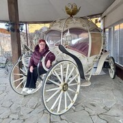 ���������� �����������, ���� ������� �����, 56 ���, ������������ 