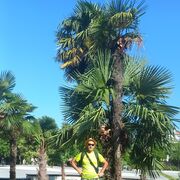 ���������� ���������� �����, ���� ������� ������, 43 ����, ������������ ��� ������, ����� � ���������