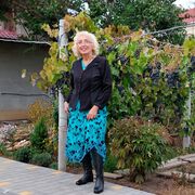 ���������� ������, ���� ������� �����, 67 ���, ������������ ��� ����� � ���������, c�������� ���������, ���������