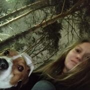 ���������� ������, ���� ������� ����, 36 ���, ������������ ��� ������, ����� � ���������