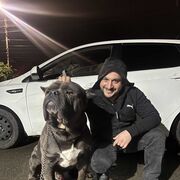 ���������� ���������, ���� ������� Sev, 36 ���, ������������ ��� ������, ����� � ���������, c�������� ���������, ���������