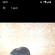 ���������� ����, ���� ������� ����, 56 ���, ������������ ��� ������, ����� � ���������