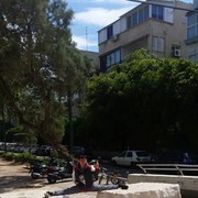  Holon,   , 33 ,  