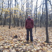 ���������� ������-��-����, ���� ������� �������, 41 ���, ������������ ��� ������, ����� � ���������, c�������� ���������