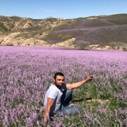 ���������� ���, ���� ������� ������, 32 ����, ������������ ��� ������, ����� � ���������, c�������� ���������, ���������