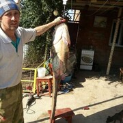  ,   , 46 ,   c , 