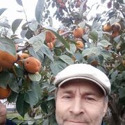  -,   , 56 ,   ,   