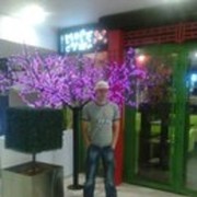  ,   , 37 ,     , c 