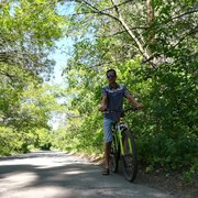  ,   Denis, 29 ,   ,   , c 