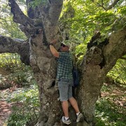 ���������� ����� �������, ������� ���, 37