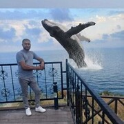 ���������� ������������, ���� ������� Miki, 39 ���, ������������ ��� ������, ����� � ���������, c�������� ���������, ���������