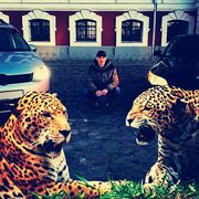  ,   , 35 ,   ,   , c , 
