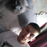 ���������� ����������, ���� ������� ����, 29 ���, ������������ ��� ������, ����� � ���������, c�������� ���������, ���������