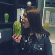 ���������� ������, ���� ������� ����, 24 ����, ������������ ��� ������, ����� � ���������