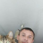  ,   , 41 ,   