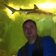 ���������� �����������, ���� ������� ��������, 40 ���, ������������ ��� ������, ����� � ���������, c�������� ���������