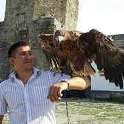 ���������� �������, ���� ������� ������, 40 ���, ������������ ��� ������, ���������