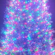 ���������� ������-��-����, ���� ������� �������, 51 ���, ������������ ��� ������, ����� � ���������