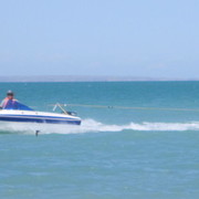 �� ����� ������ ������ ���� 2014 ����