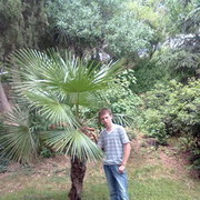  ,   Artem, 31 ,   ,   , c 