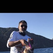  ,   , 46 ,   ,   