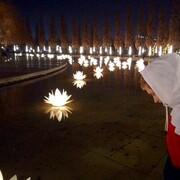 ���������� ���������, ���� ����� �����, 21 ���, ������������ ��� ������, ����� � ���������, c�������� ���������, ���������