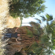  ,   VIKTOR, 58 ,   ,   , c 