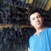 ���������� ���������, ���� ������� ArslaN, 37 ���, ������������ ��� ������, ����� � ���������, ���������