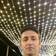  -,  , 43