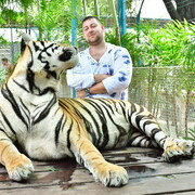 ���������� ������, ������� ����, 29