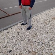  ,  , 34