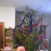 ���������� ������, ���� ������� �������, 78 ���, ������������ 