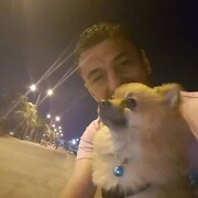 ���������� �����-���������, ���� ������� ����, 44 ����, ������������ ��� ������, ����� � ���������