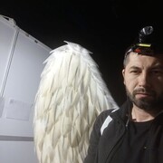 ,  , 40