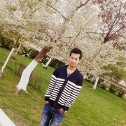 ���� ������