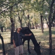  ,   , 41 ,     , c 