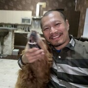 ���������� �����������, ���� ������� ���, 43 ����, ������������ ��� ������, ����� � ���������, c�������� ���������