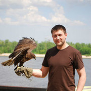 ���������� �����, ���� ������� ����, 50 ���, ������������ ��� ������, ����� � ���������, c�������� ���������