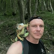 ���������� ����������, ���� ������� ���������, 35 ���, ������������ ��� ������, ����� � ���������, c�������� ���������, ���������